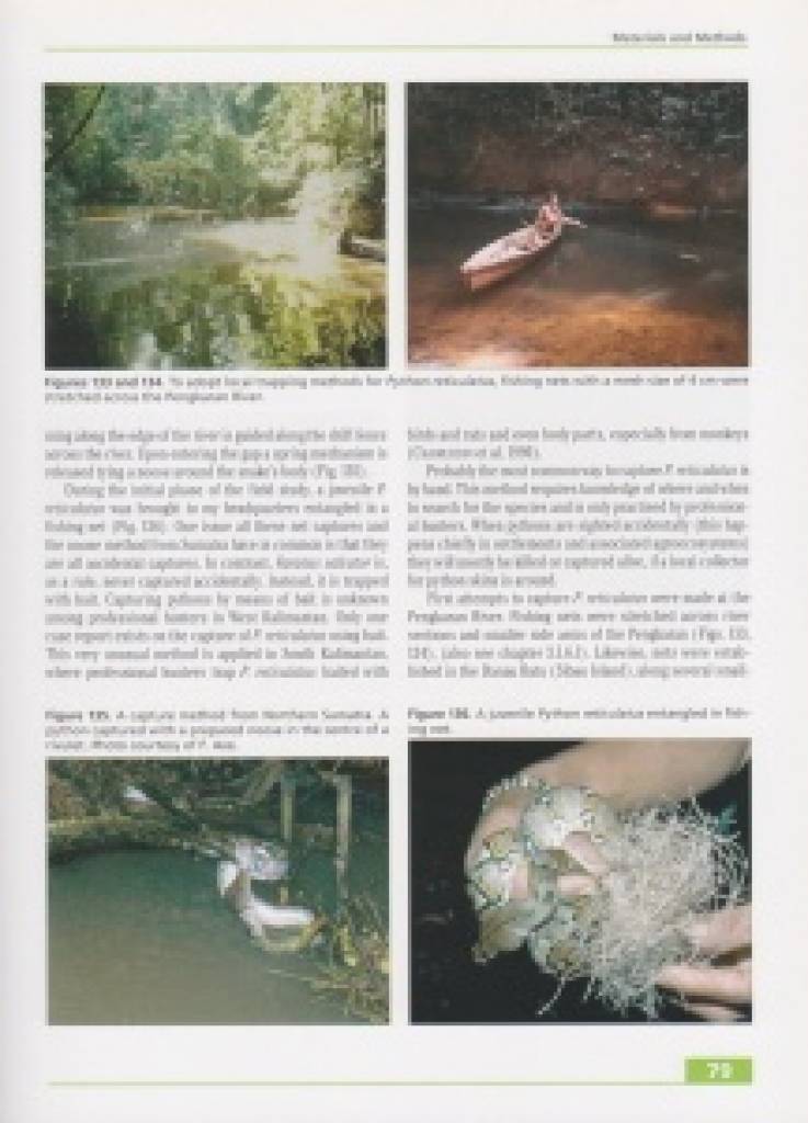 Taxonomy, Life History and Conservation of Giant Reptiles in West Kalimantan